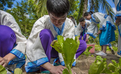 勸耕圃體驗(yàn)